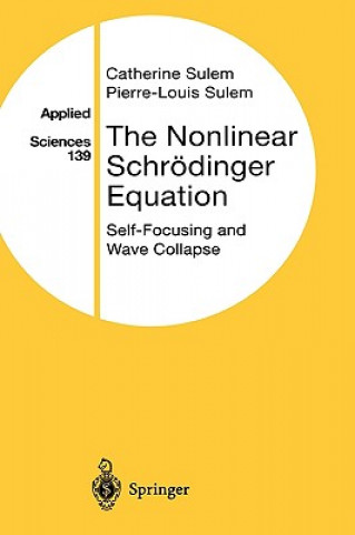 Nonlinear Schroedinger Equation