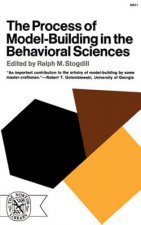 Process of Model-Building in the Behavioral Sciences