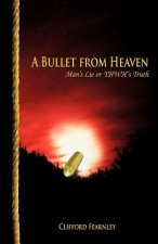 Bullet from Heaven