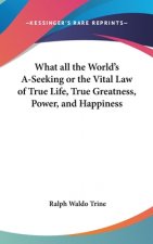WHAT ALL THE WORLD'S A-SEEKING OR THE VI
