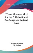 WHERE MEADOWS MEET THE SEA A COLLECTION