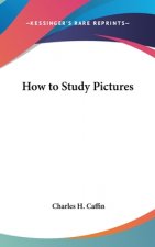 HOW TO STUDY PICTURES