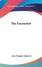 THE ENCOUNTER