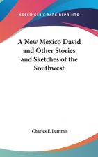 A NEW MEXICO DAVID AND OTHER STORIES AND