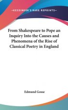 FROM SHAKESPEARE TO POPE AN INQUIRY INTO