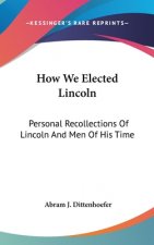 HOW WE ELECTED LINCOLN: PERSONAL RECOLLE