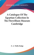 A CATALOGUE OF THE EGYPTIAN COLLECTION I
