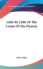 Little By Little Or The Cruise Of The Flyaway
