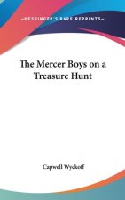 THE MERCER BOYS ON A TREASURE HUNT