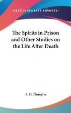 THE SPIRITS IN PRISON AND OTHER STUDIES