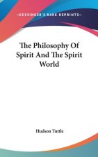 THE PHILOSOPHY OF SPIRIT AND THE SPIRIT