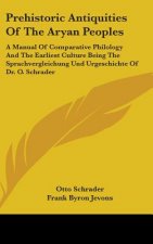 PREHISTORIC ANTIQUITIES OF THE ARYAN PEO
