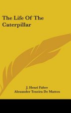 THE LIFE OF THE CATERPILLAR