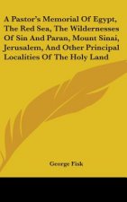A Pastor's Memorial Of Egypt, The Red Sea, The Wildernesses Of Sin And Paran, Mount Sinai, Jerusalem, And Other Principal Localities Of The Holy Land