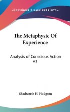 THE METAPHYSIC OF EXPERIENCE: ANALYSIS O