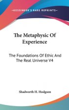 THE METAPHYSIC OF EXPERIENCE: THE FOUNDA