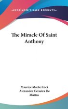 THE MIRACLE OF SAINT ANTHONY