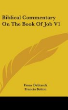 BIBLICAL COMMENTARY ON THE BOOK OF JOB V