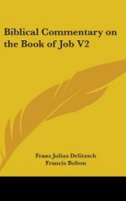 BIBLICAL COMMENTARY ON THE BOOK OF JOB V