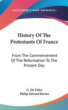 History Of The Protestants Of France: From The Commencement Of The Reformation To The Present Day