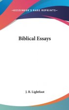 Biblical Essays