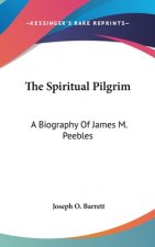 Spiritual Pilgrim