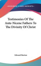 Testimonies Of The Ante-Nicene Fathers To The Divinity Of Christ
