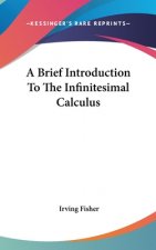 A BRIEF INTRODUCTION TO THE INFINITESIMA