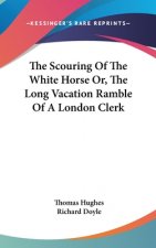 Scouring Of The White Horse Or, The Long Vacation Ramble Of A London Clerk