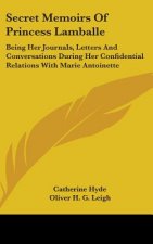 SECRET MEMOIRS OF PRINCESS LAMBALLE: BEI