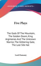 FIVE PLAYS: THE GODS OF THE MOUNTAIN, TH
