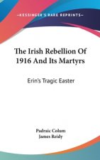 Irish Rebellion Of 1916 And Its Martyrs