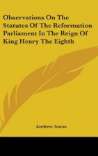 Observations On The Statutes Of The Reformation Parliament In The Reign Of King Henry The Eighth