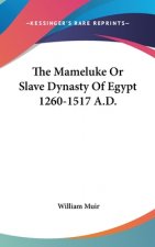THE MAMELUKE OR SLAVE DYNASTY OF EGYPT 1