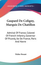 GASPARD DE COLIGNY, MARQUIS DE CHATILLON
