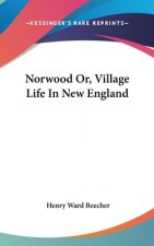 Norwood Or, Village Life In New England