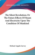 Silent Revolution; Or The Future Effects Of Steam And Electricity Upon The Condition Of Mankind