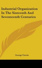 INDUSTRIAL ORGANIZATION IN THE SIXTEENTH