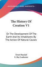 THE HISTORY OF CREATION V1: OR THE DEVEL