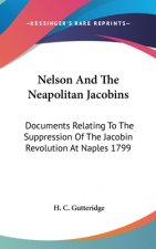 NELSON AND THE NEAPOLITAN JACOBINS: DOCU