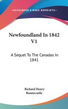 Newfoundland In 1842 V1: A Sequel To The Canadas In 1841