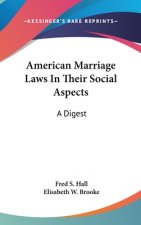 AMERICAN MARRIAGE LAWS IN THEIR SOCIAL A