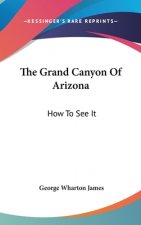 THE GRAND CANYON OF ARIZONA: HOW TO SEE