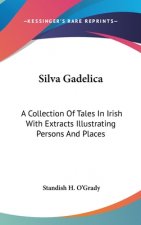 SILVA GADELICA: A COLLECTION OF TALES IN