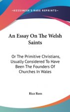 Essay On The Welsh Saints
