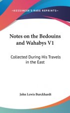 Notes On The Bedouins And Wahabys V1