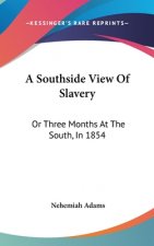 Southside View Of Slavery