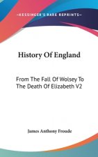 History Of England: From The Fall Of Wolsey To The Death Of Elizabeth V2: Reign Of Elizabeth