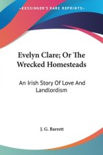 Evelyn Clare; Or The Wrecked Homesteads: An Irish Story Of Love And Landlordism
