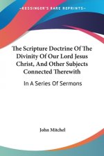The Scripture Doctrine Of The Divinity Of Our Lord Jesus Christ, And Other Subjects Connected Therewith: In A Series Of Sermons